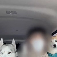 「もう諦めるしかないんや…」