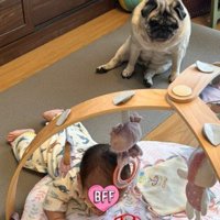 もち丸くんと赤ちゃんの日常2