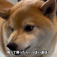 ムキ顔のままお見送り…