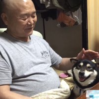 黒柴の頭を撫でる笑顔のおじいちゃん
