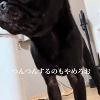 顔はきゅるるん♡