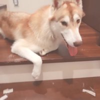 まだまだこれからだね♪