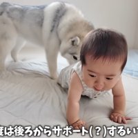 おしりを押してサポート