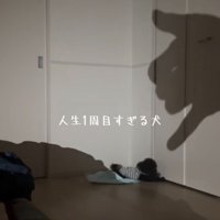 壁に手の影を映す