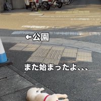 帰る気がない犬がいる…？