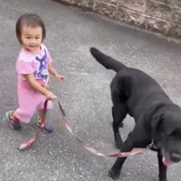笑顔の子どもと犬