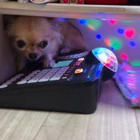 カラフルなミラーボール