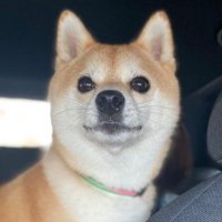 「まだかな、もう着くかな」