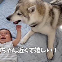 赤ちゃんも嬉しそう♪