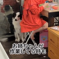 作業中のお姉ちゃんとアグちゃん