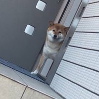我慢