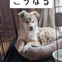 さらに1ヶ月後
