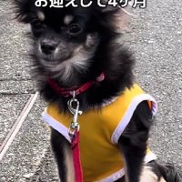 4ヶ月たったのに…