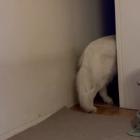 そのまま別の部屋へ