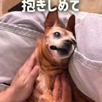 「今ここにある幸せ」