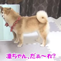 鏡を教えてみると…