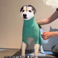 本当に凛ちゃん…！？