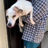 3ヶ月ぶりの再会に涙…