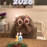 メガネをかけた犬