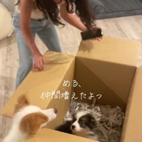 「める、仲間ができたよ」