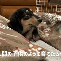 人間の子どものように育てたら…