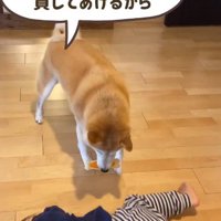 「貸してあげるよ」