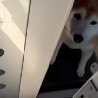 お母さんのお出迎え