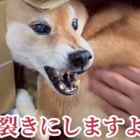 触られて鬼の形相に！