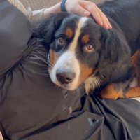 赤ちゃんに会えるのが楽しみ！