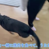楽しいお留守番だったね