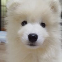 お迎え