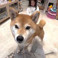 「やめてあげて！」
