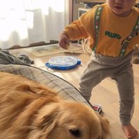 現在のオレオくんと弟くん3