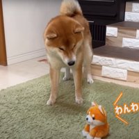声マネするおもちゃ