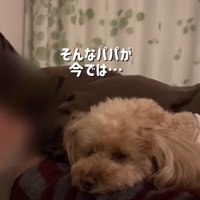ももちゃんにメロメロ♡