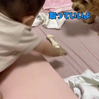 「どうぞ」