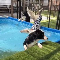 えびぞりになるラルくん