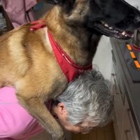 再び大型犬をおんぶ