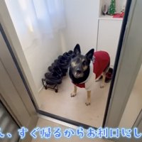 お留守番よろしくね