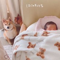 赤ちゃんが来た日のうにちゃん＆きぬ君5