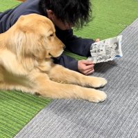 お兄ちゃんとべる君2