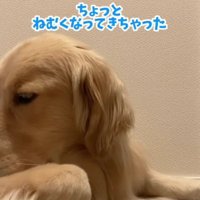 「眠くなってきた」