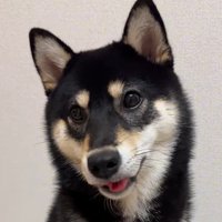 はるちゃんの成長6