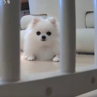 再び動かすと
