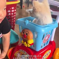 「楽しんでる？」