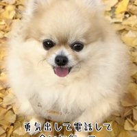 奇跡の出会いが幸せを呼び込みました