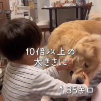 エルくんと男の子5
