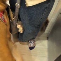 まるちゃんとママさんの再会5