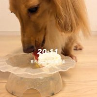 美味しそうにケーキを食べています♪