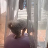「見て、こんなこともできるよ～」